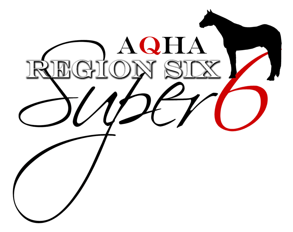 region6 logo transparent